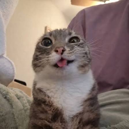 Iya, Pak!